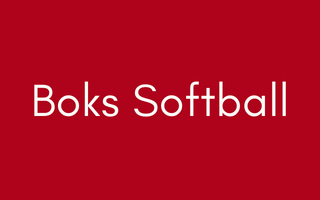 Boks Softball