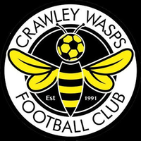 Crawley Wasps FC